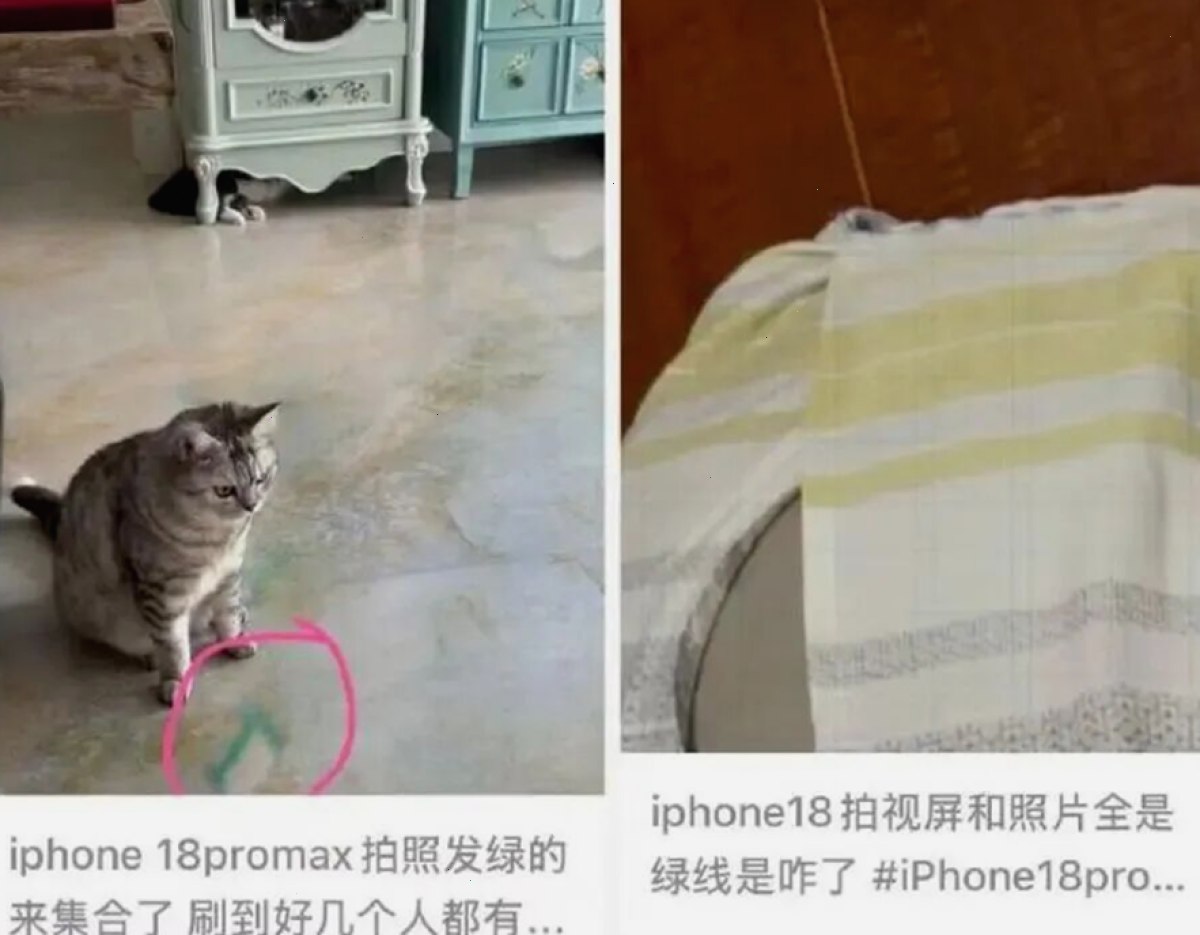 资讯